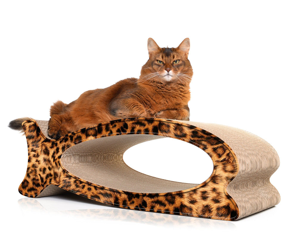leo (051) - Bild 1