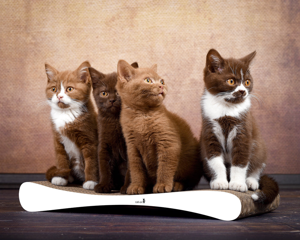 weiß, gestrichen (000x) - Bild 1