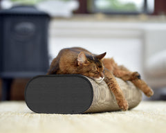 Schlafende Katze auf ovalem Kissen in heller, gemütlicher Umgebung mit Pflanzen und unscharfen Möbeln.