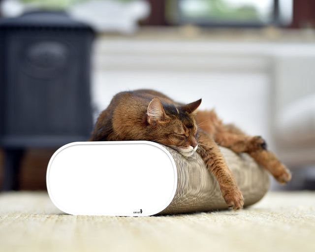 LA BANQUETTE Kratzbrett für Katzen