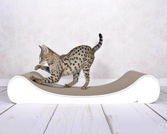 weiß mit Rand (000) - Bild 1