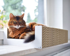 weiß, gestrichen (000x) - Bild 2