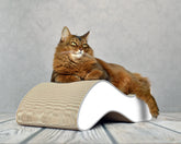 weiß, grauer Rand (000d) - Bild 1