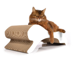 weiß, gestrichen (000x) - Bild 1