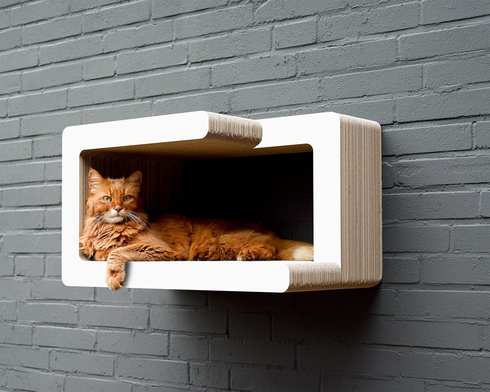 Moderne Wandkratzmöbel für Katzen in Holz-Weiß, mit entspannter orangefarbener Katze auf der Plattform.