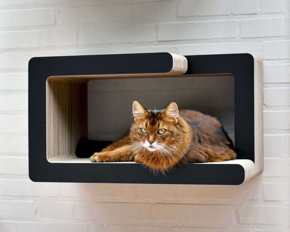 schwarz matt (013x) - Bild 1