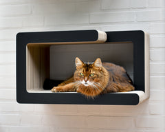 schwarz matt (013x) - Bild 1