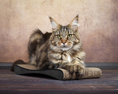 schwarz, meliert (013) - Bild 1