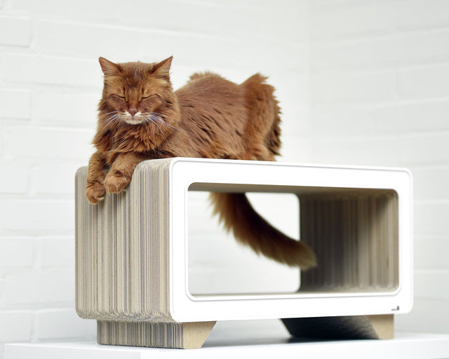 LA TELE Retro Kratzmöbel