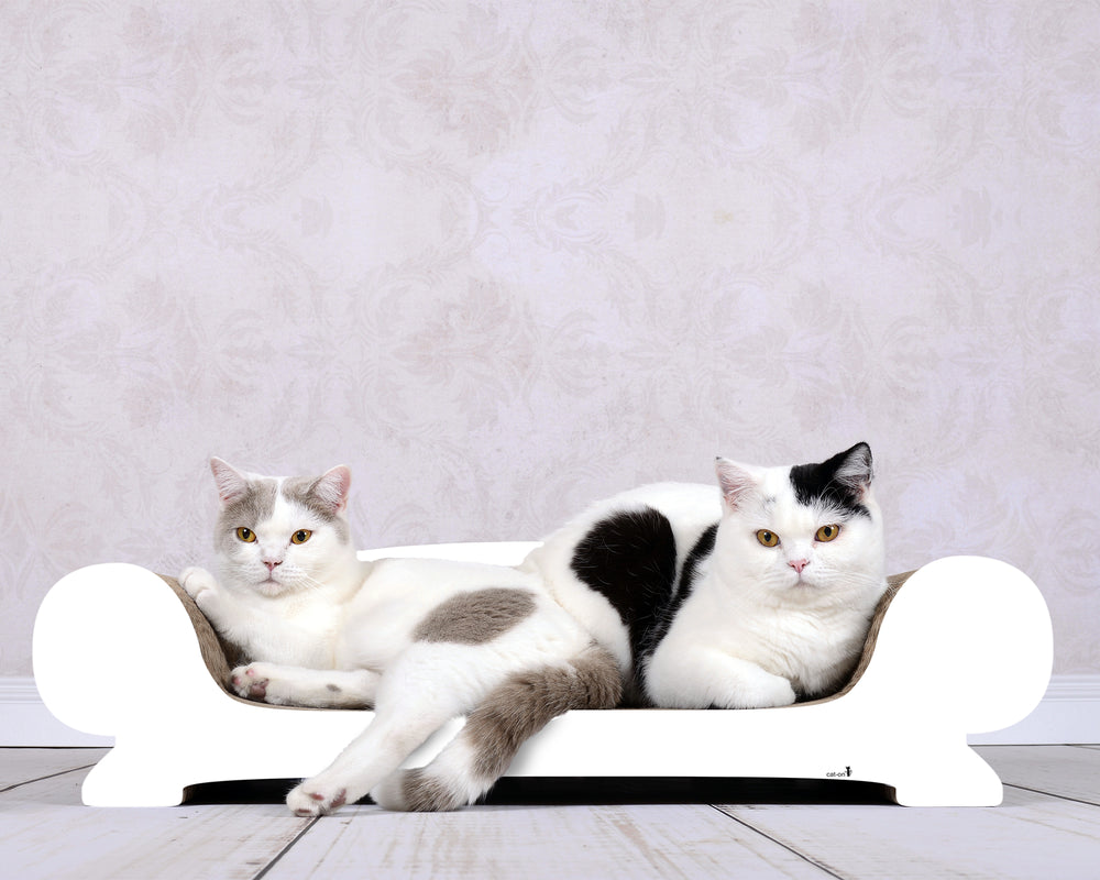 weiß, gestrichen (000x) - Bild 1