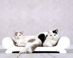 weiß, gestrichen (000x) - Bild 1