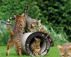 schwarz, Blumen silber (015) - Bild 1