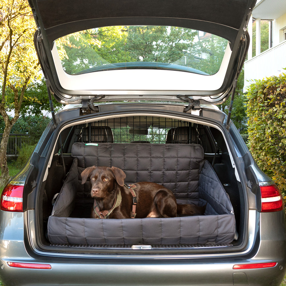 Hund im Kofferraum eines Autos mit gepolsterter Decke und Sicherheitsgitter, umgeben von Bäumen und einem Haus.