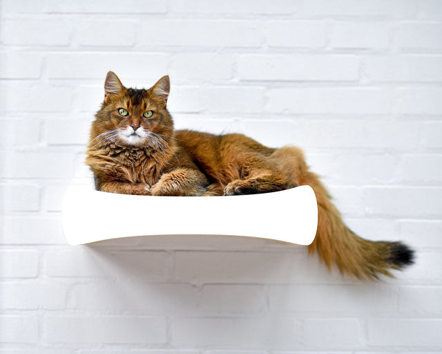 LE PLATEAU S Design Wandkratzbrett für Katzen