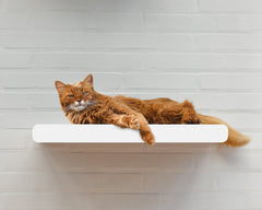 weiß, gestrichen (000x) - Bild 3