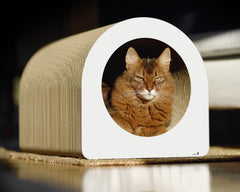 weiß, gestrichen (000x) - Bild 3