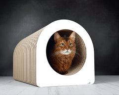 weiß, gestrichen (000x) - Bild 2