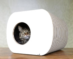 weiß, gestrichen (000x) - Bild 2