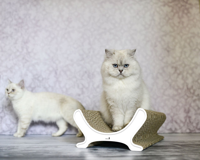 LE PANIER Katzenliege – Designer Katzensofa