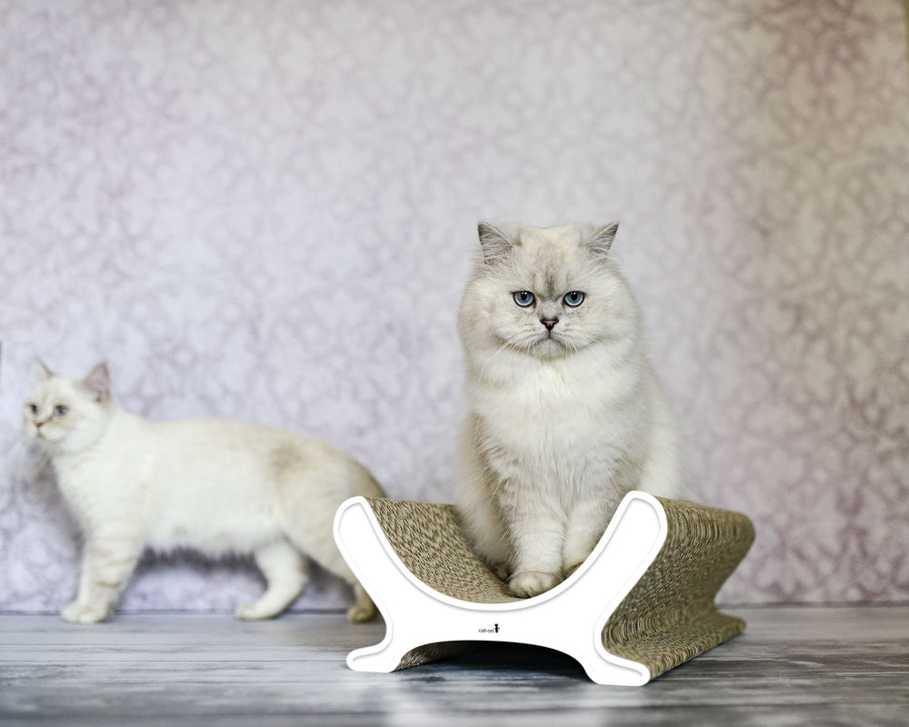 weiß mit Rand (000) - Bild 1