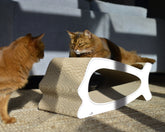 weiß mit Rand (000) - Bild 1