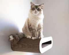 weiß, gestrichen (000x) - Bild 1