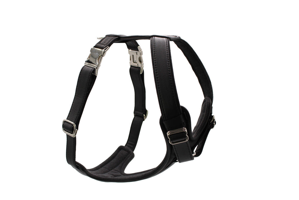 Schwarzes, zweifach verstellbares Ledergeschirr mit robusten Riemen und Metallverschlüssen für optimale Passform.
