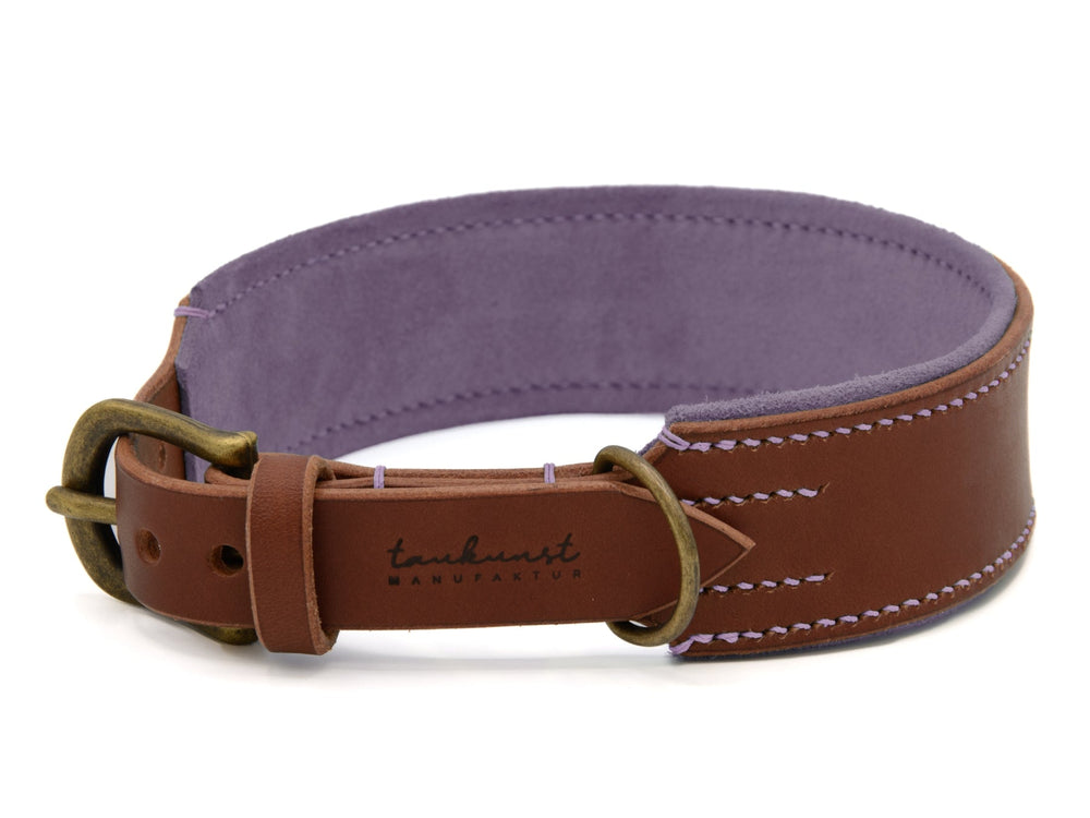 Braunes Lederhalsband für Hunde mit lila Innenfutter, gepolstert und goldfarbener Schnalle, stilvoll und bequem.
