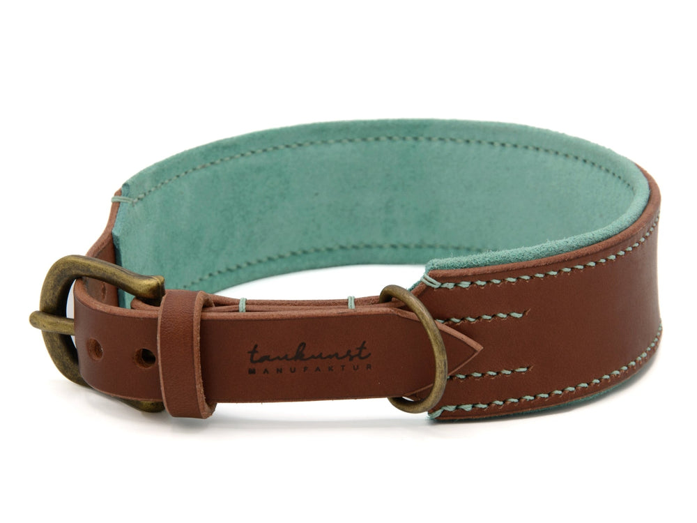 Braunes Lederhalsband mit hellblauer Innenfläche und Messingschnalle für Hunde, dekorative Naht inklusive.
