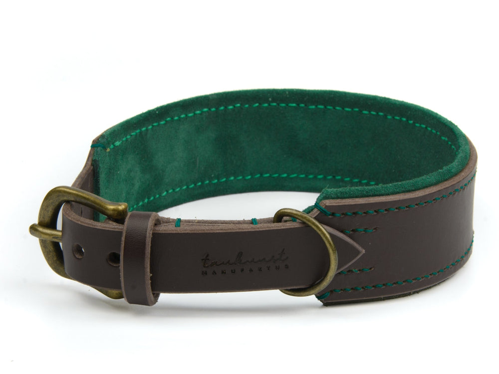 "Braunes Lederhalsband mit grünem Innenfutter, gepolstert, goldfarbener Schnalle und grünen Nähten für Hunde."