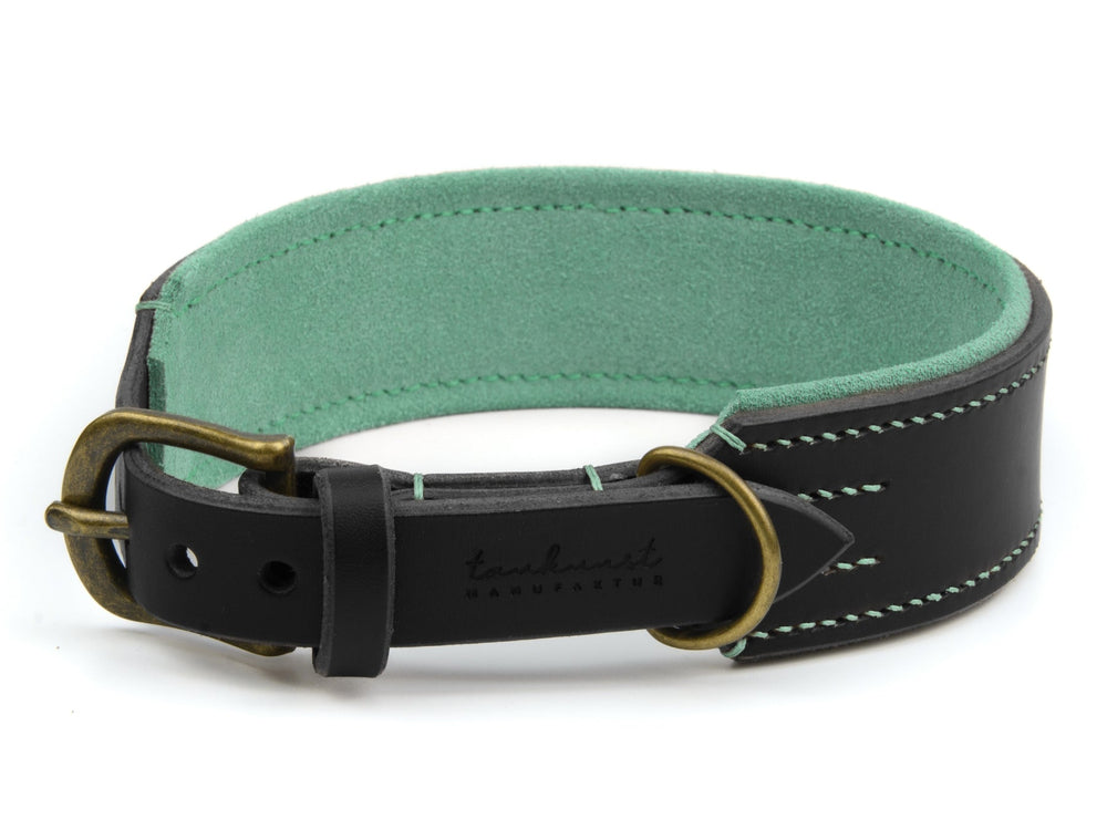 Schwarzes Lederhalsband für Hunde mit grüner Innenausstattung und goldener Schnalle, handgefertigt.