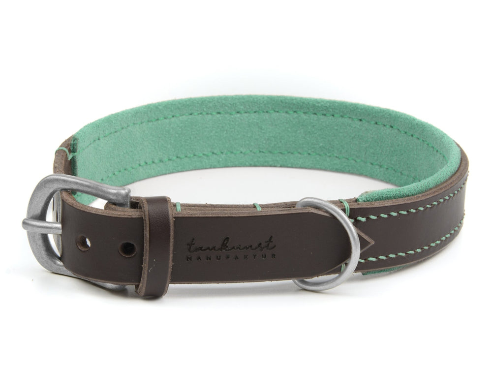 Braunes Lederhalsband für Hunde mit grüner Innenausstattung und silberfarbener Schnalle, ideal für stilvolle Vierbeiner.