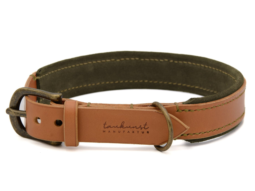 Braunes Lederhalsband für Hunde mit antik wirkender Schnalle und weichem grünen Innenfutter, ideal für abenteuerliche Ausflüge.