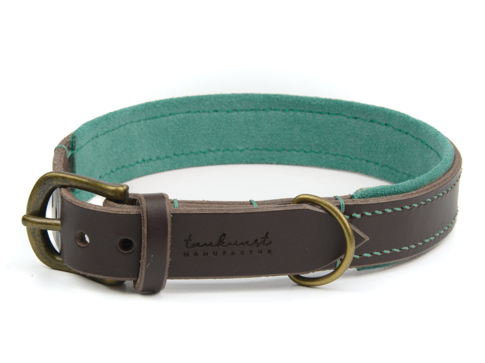 Braunes Lederhalsband für Hunde mit türkisfarbener Innenseite und stabiler Schnalle, ideal für stilbewusste Vierbeiner.