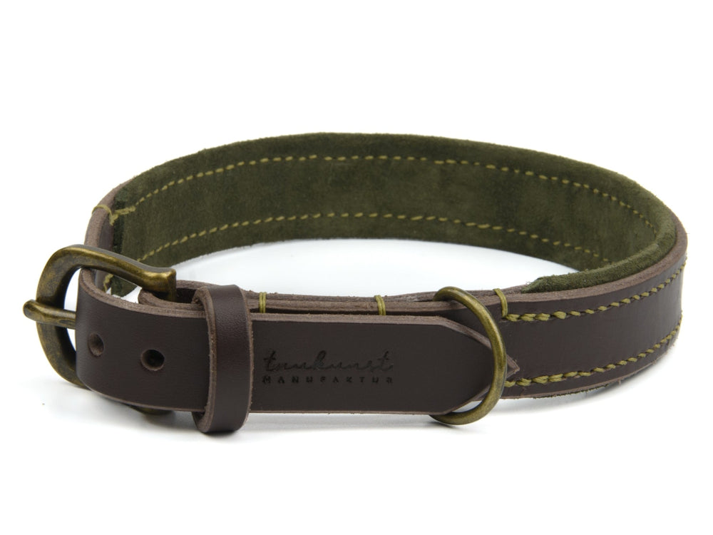 Braunes Lederhalsband für Hunde mit grüner Velourslederauskleidung und messingfarbener Schnalle. Stilvoll und robust.