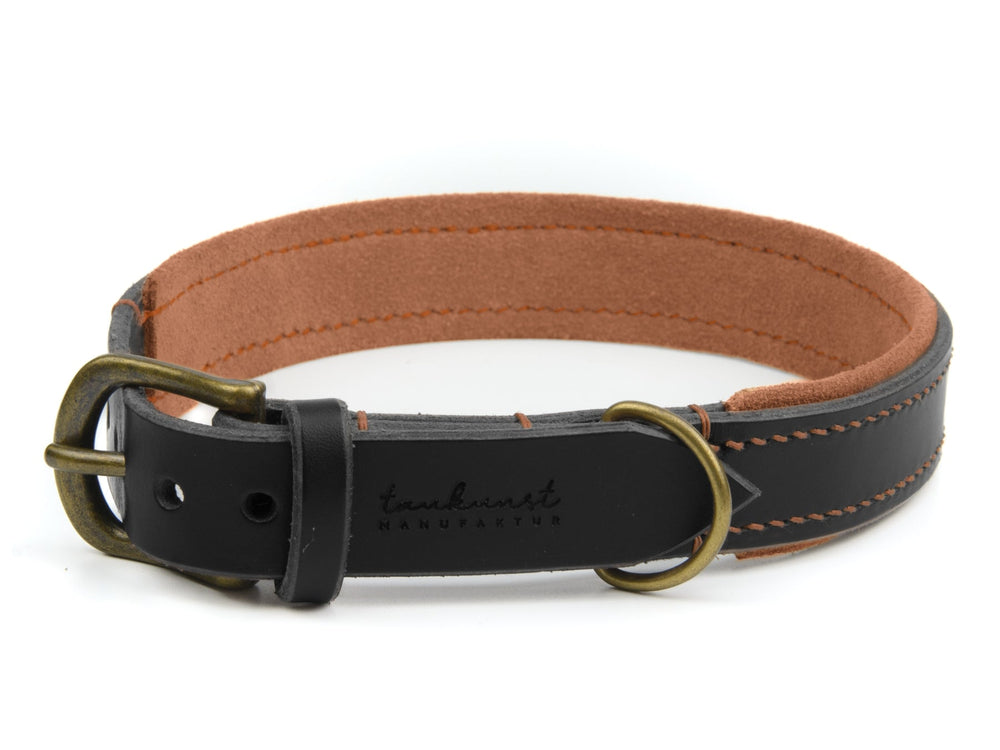 Schwarzes Lederhalsband mit braunen Details und messingfarbener Schnalle, weich gefüttert für optimalen Tragekomfort.