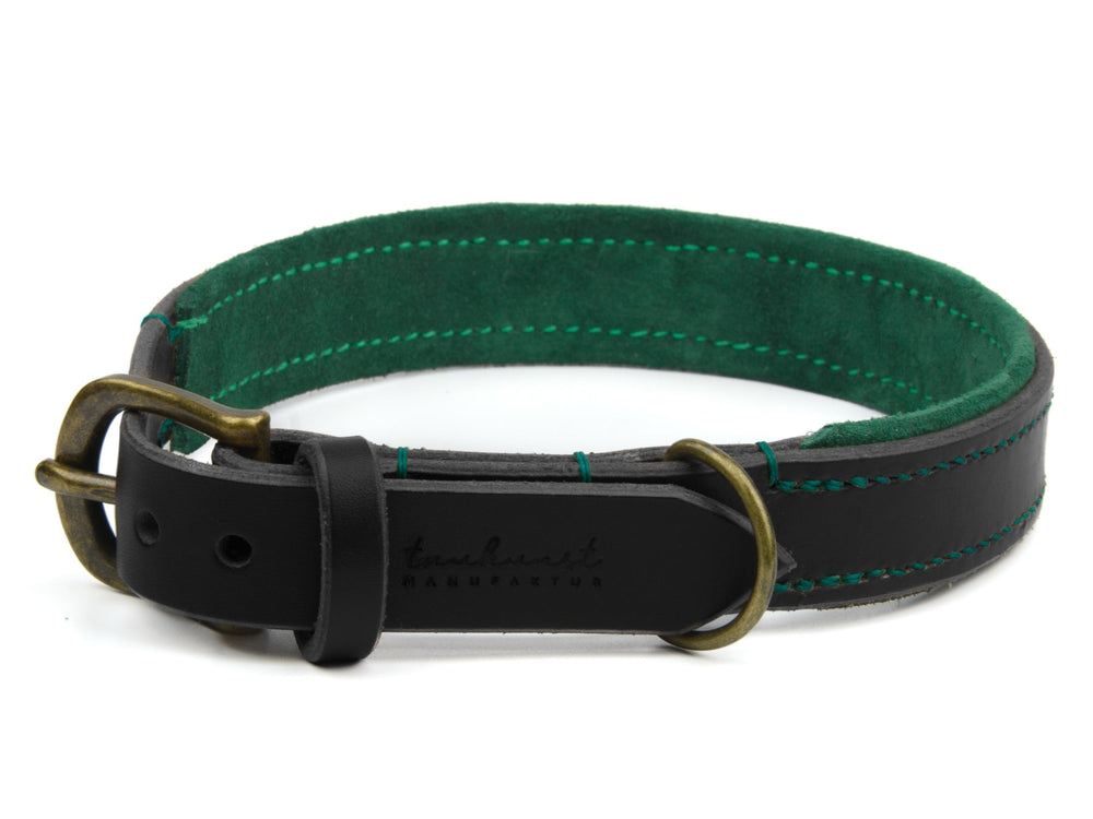 Schwarzes Lederhalsband mit grüner Innenauskleidung, messingfarbener Schnalle und dezenter Prägung für Hunde.