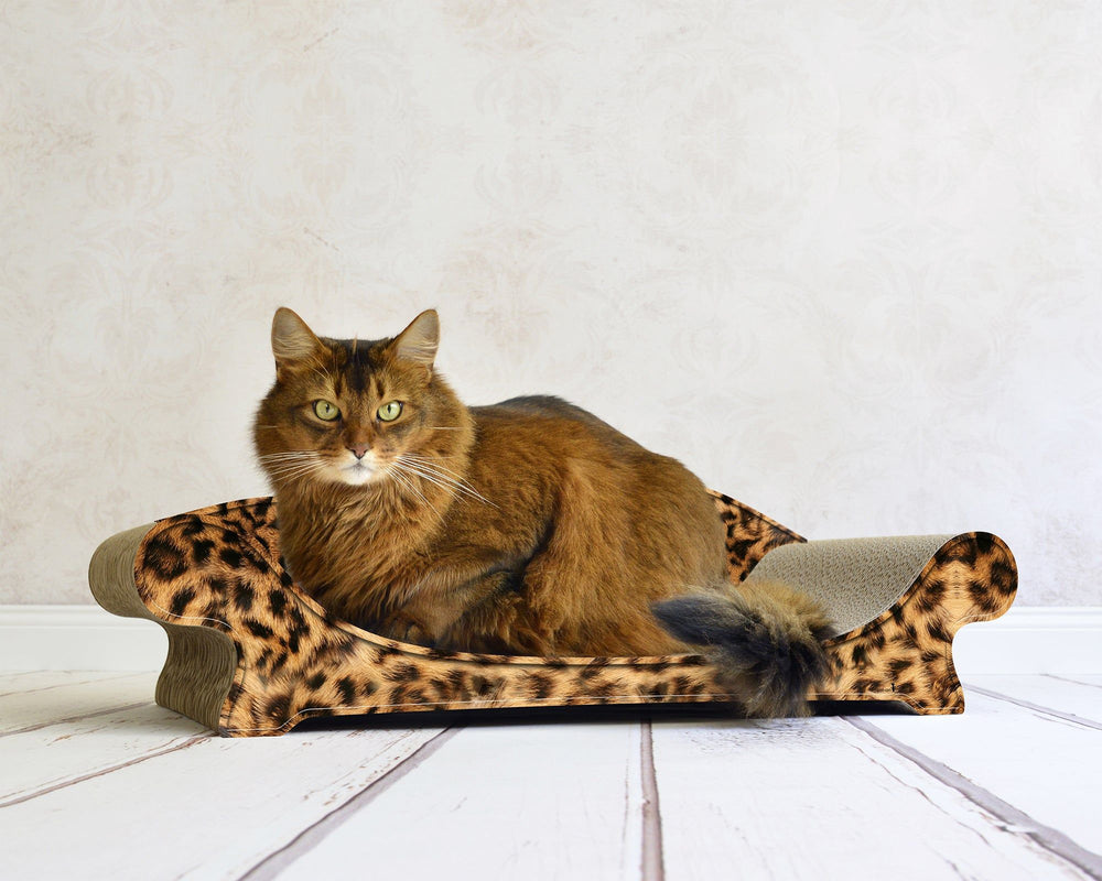 leo (051) - Bild 1