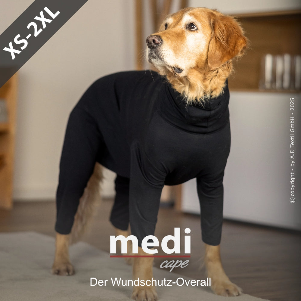 Hund im schwarzen Wundschutz-Overall mit langen Ärmeln, Größe XS-2XL, in einem Wohnraum.