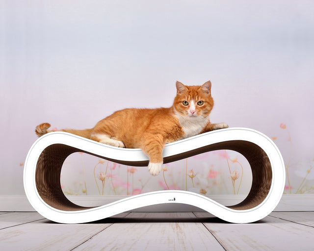SINGHA L Design Katzenmöbel