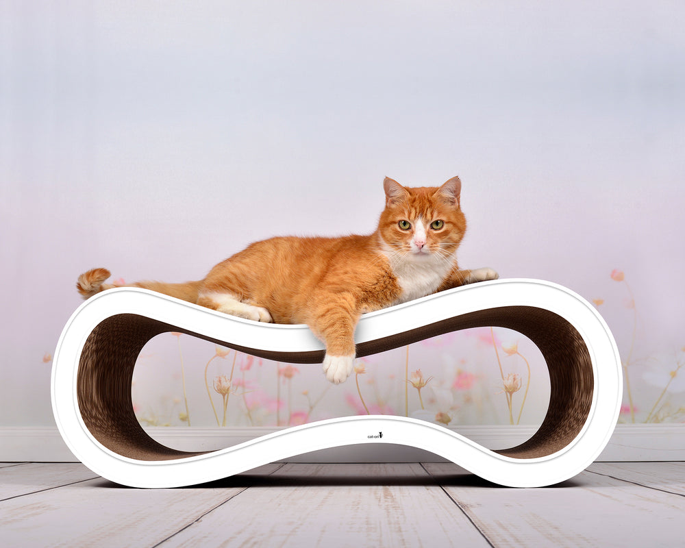 weiß mit Rand (000) - Bild 1