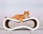 weiß mit Rand (000) - Bild 1