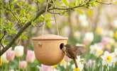 "Vogelhaus aus Ton für Zaunkönige und Meisen, hängend an einem Baum mit bunten Frühlingsblumen im Hintergrund."