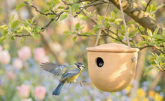 Blaumeise vor einem hängenden Vogelhaus im Garten mit Flieder und bunten Blumen im Hintergrund.
