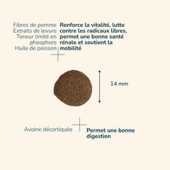 Runde, braune Tablette (14 mm) für Senioren mit Apfelfasern, Hefextrakten und Fischöl für optimale Gesundheit.