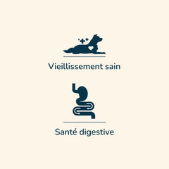 Hund mit Herzsymbol für gesundes Altern und schematischer Magen-Darm-Trakt für digestive Gesundheit.