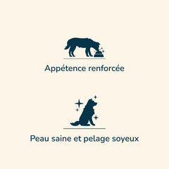 Zwei Hundesymbole: Oben mit Futternapf und dem Text „Appétence renforcée“, unten ein Hund mit glänzendem Fell.