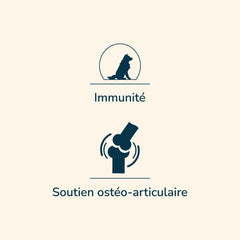 Zwei Symbole auf hellem Hintergrund: Hundesymbol für Immunität und Gelenksymbol für Unterstützung des Bewegungsapparats.