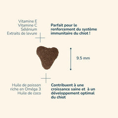 Herzförmige Nahrungsergänzung für Welpen mit Vitamin E, C, Selen, Fischöl und Kokosnussöl in Mini-Größe.