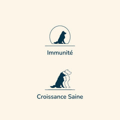 Zwei stilisierte Hundesilhouetten mit dem Wort "Immunité" und einer einzelnen Silhouette oben, für Prestige Puppy MEDIUM.